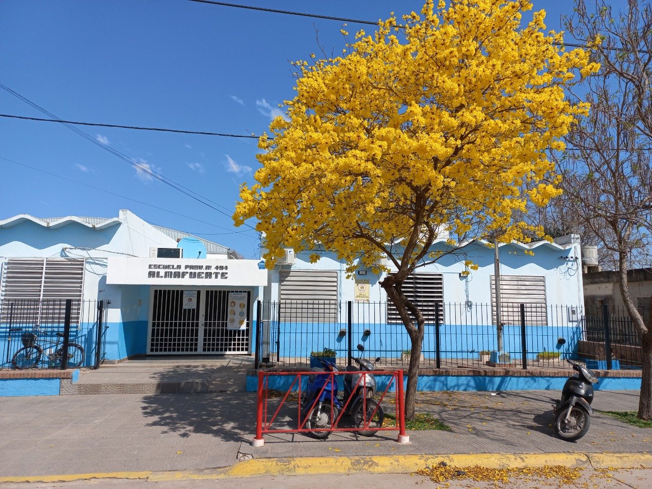 Escuela Alma Fuerte